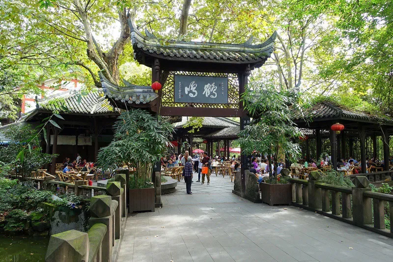 Teahouse Culture in Chengdu