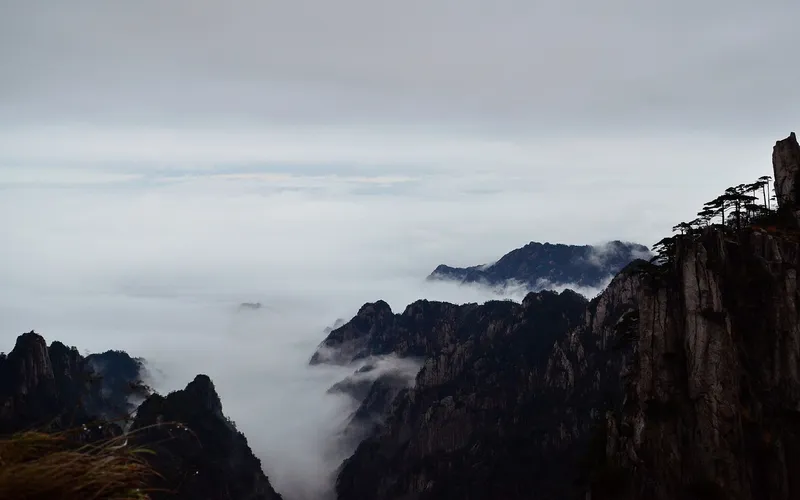 Jagged granite peaks of Huangshan with twisted pine trees above a sea of clouds