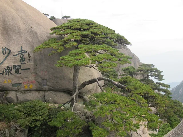 The Yellow Mountain Summit Routes in Huangshan