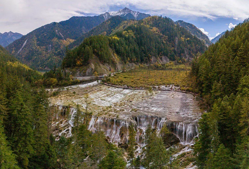 Multi-colored alpine lake with submerged tree trunks and forested mountains in Jiuzhaigou