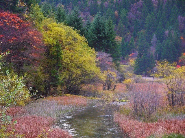 The Y-Shaped Valley Route in Jiuzhaigou