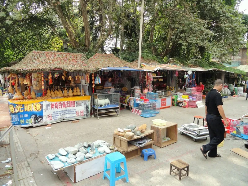The Flower & Bird Market in Kunming
