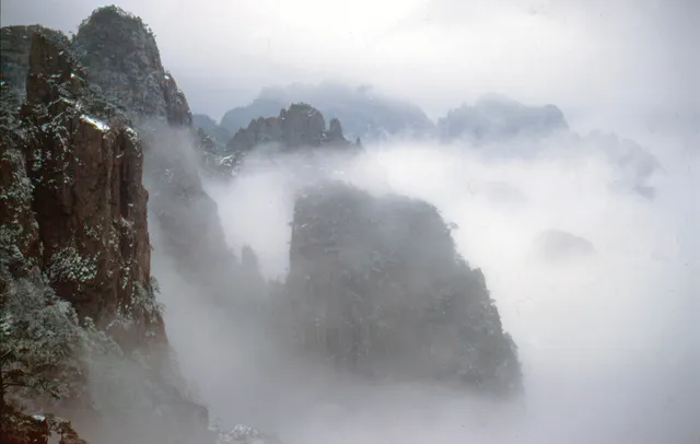 Granite peaks and pine trees of Huangshan emerging from a sea of clouds