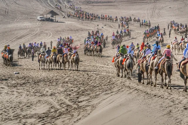 Camel caravan crossing the sand dunes of Mingsha Shan near Dunhuang at sunset