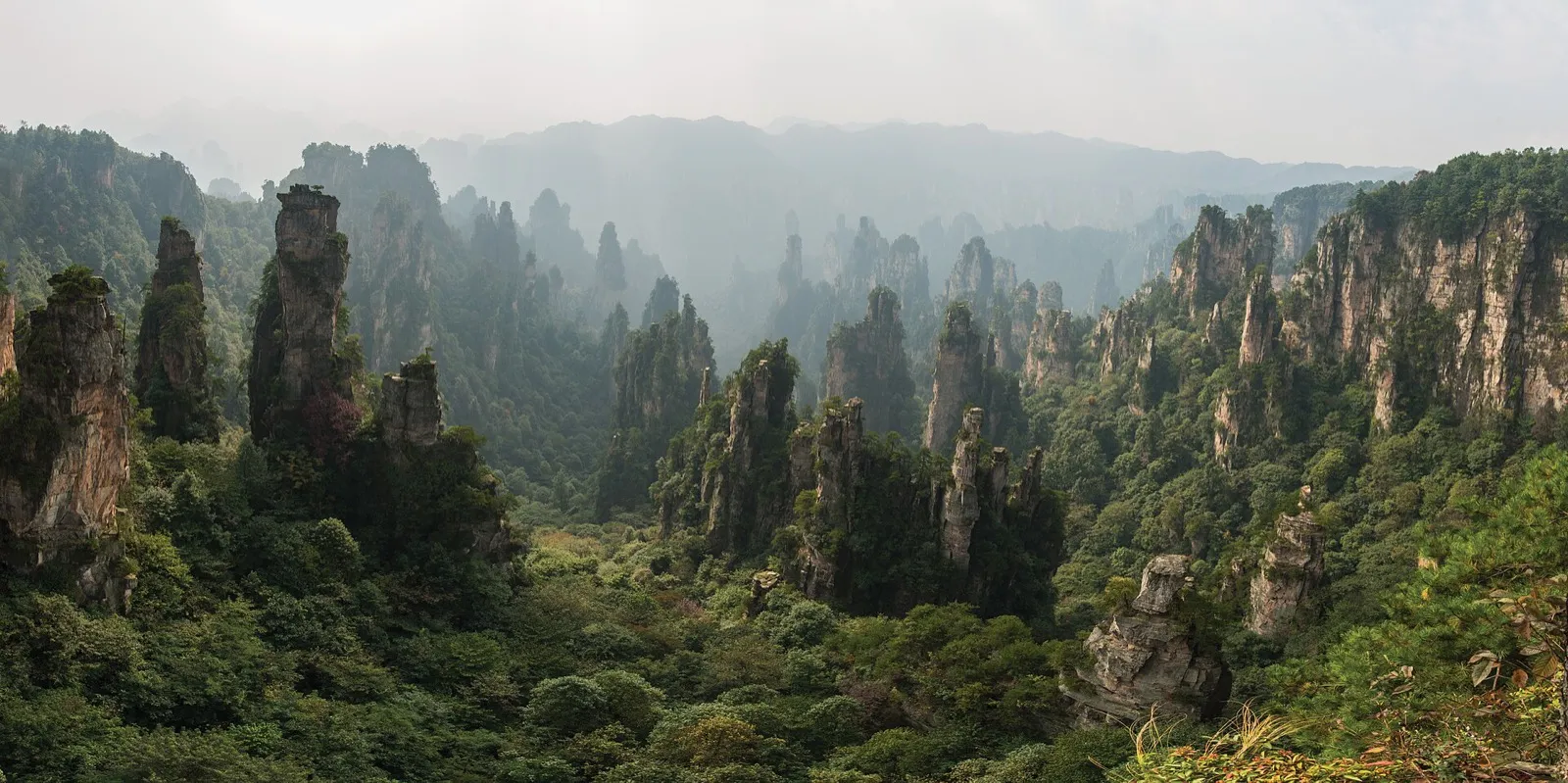 Tall quartz-sandstone pillars of Zhangjiajie National Forest Park rising out of drifting cloud